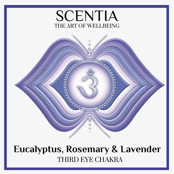 Eucalyptus, Rosemary & Lavender Bath Bomb